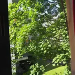 Gute Stuben * Francoforte sul Meno